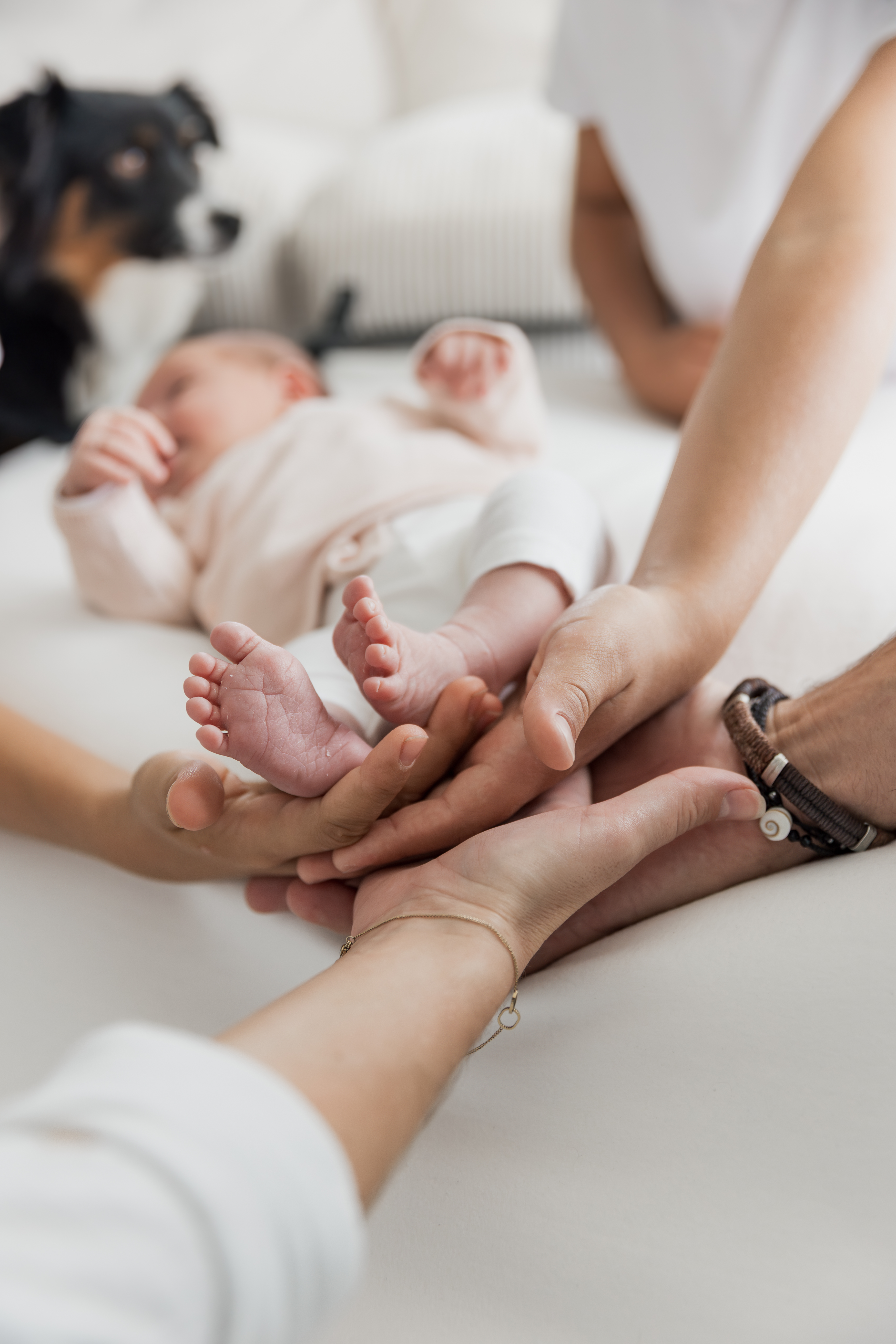 Photo naissance Annecy